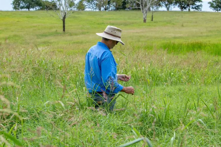 Fourth view of Homely rural property listing, 153 Schneider Road, Rosevale QLD 4340