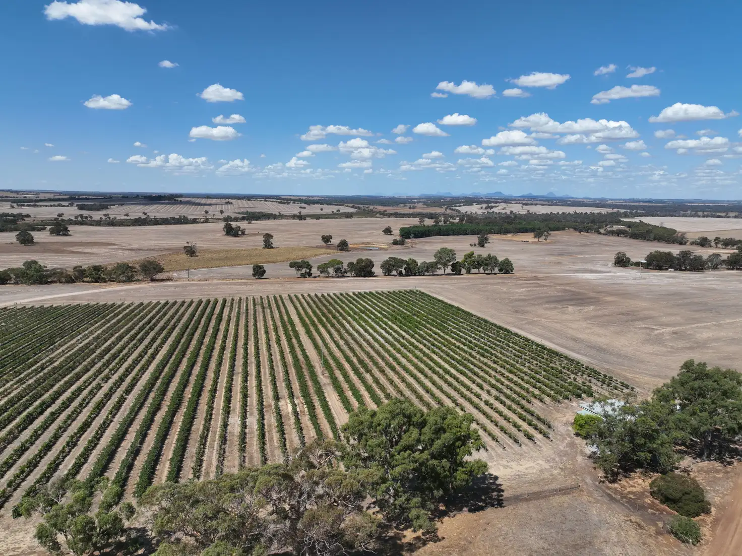 Main view of Homely rural property listing, 506 Weir Road, Cranbrook WA 6321