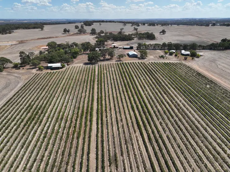 Third view of Homely rural property listing, 506 Weir Road, Cranbrook WA 6321