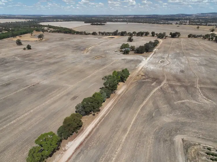 Fourth view of Homely rural property listing, 506 Weir Road, Cranbrook WA 6321