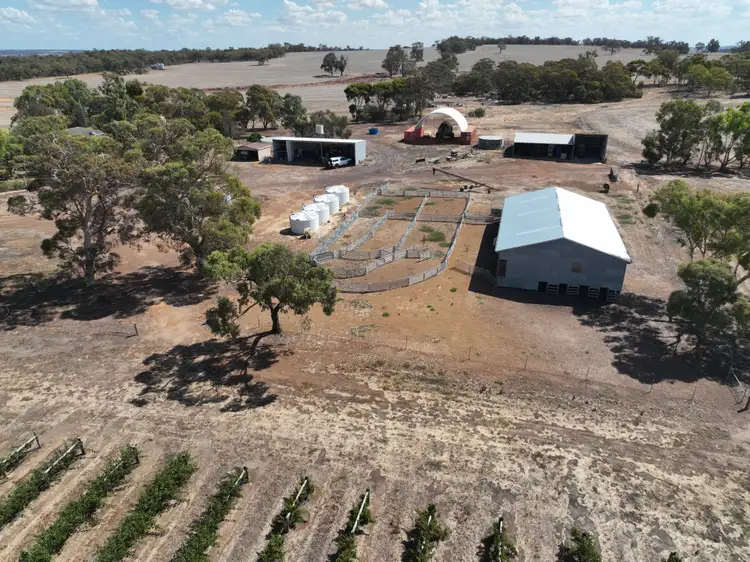 Fifth view of Homely rural property listing, 506 Weir Road, Cranbrook WA 6321