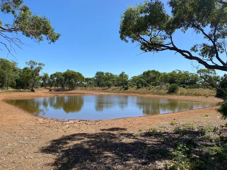 Sixth view of Homely rural property listing, Part Glenroy Peisley Road, Nyngan NSW 2825