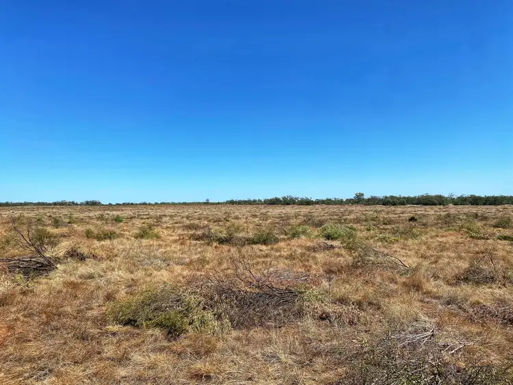 Seventh view of Homely rural property listing, Part Glenroy Peisley Road, Nyngan NSW 2825