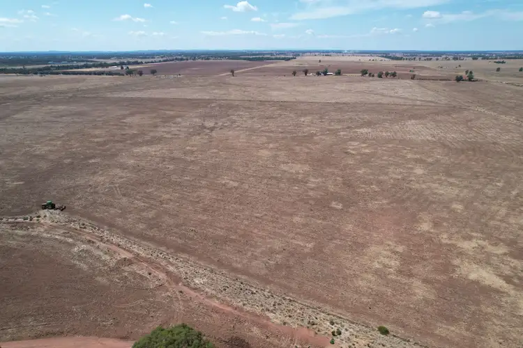 13166 Newell Highway, West Wyalong NSW 2671
