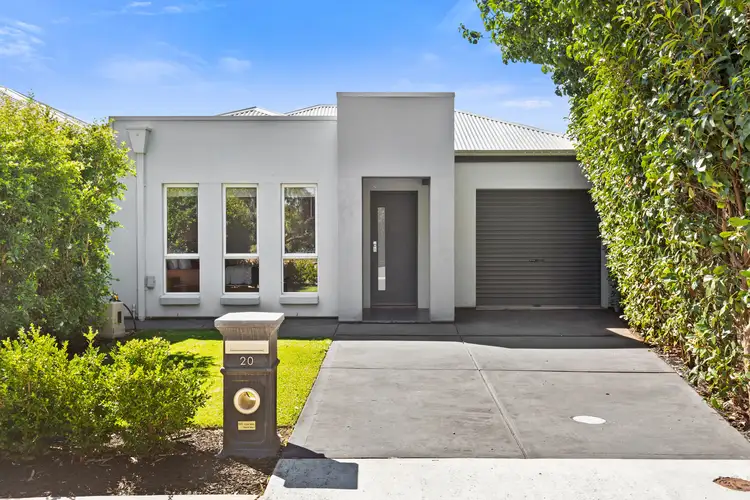 20 Shetland Avenue, Marion SA 5043