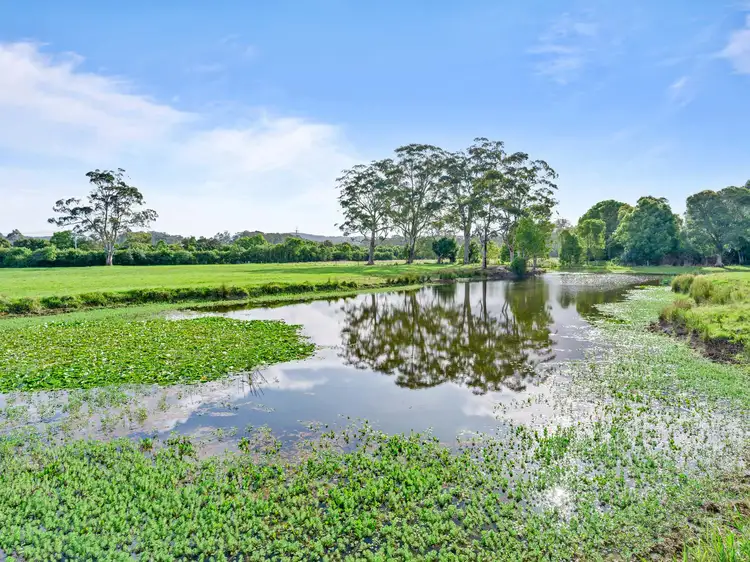 Second view of Homely rural property listing, 115 McPherson Road, Mardi NSW 2259