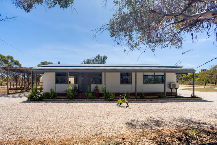 684 Thiele Road, Loveday SA 5345