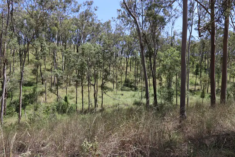 Sixth view of Homely rural property listing, "SHELTON" MARSH Road, Diglum QLD 4680