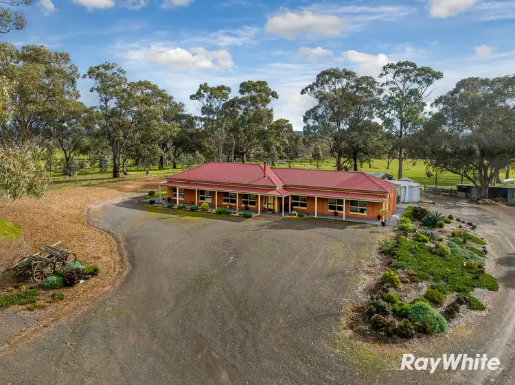 Main view of Homely house listing, 80 Axe Creek Road, Axe Creek VIC 3551