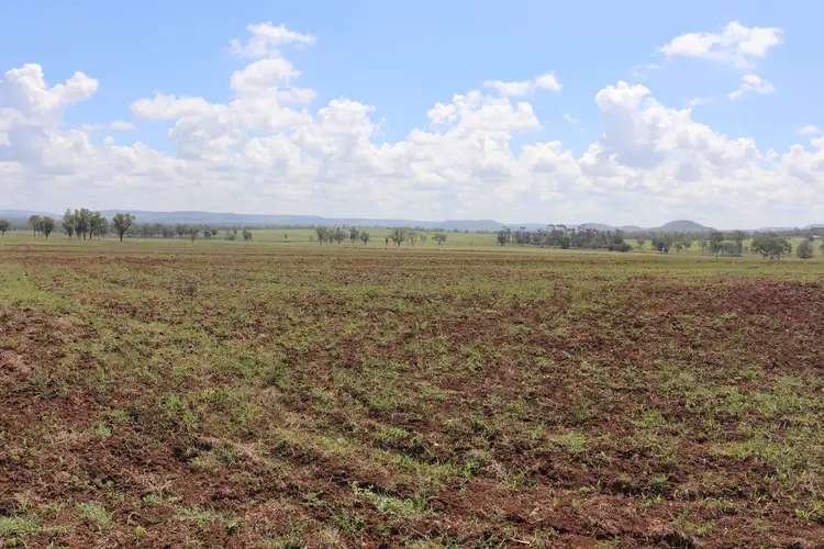 Fourth view of Homely rural property listing, 319 Back Glenrae Road, Glenrae QLD 4626