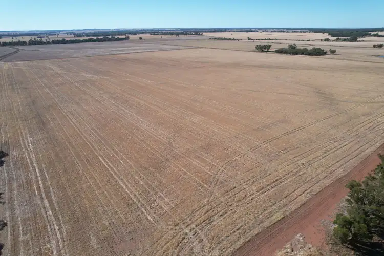 Second view of Homely rural property listing, 2417 Alleena Road, West Wyalong NSW 2671