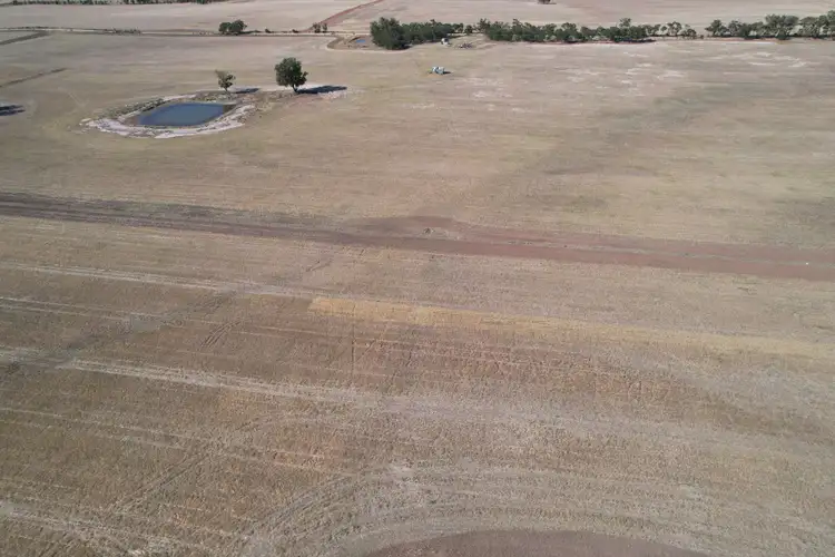 Third view of Homely rural property listing, 2417 Alleena Road, West Wyalong NSW 2671