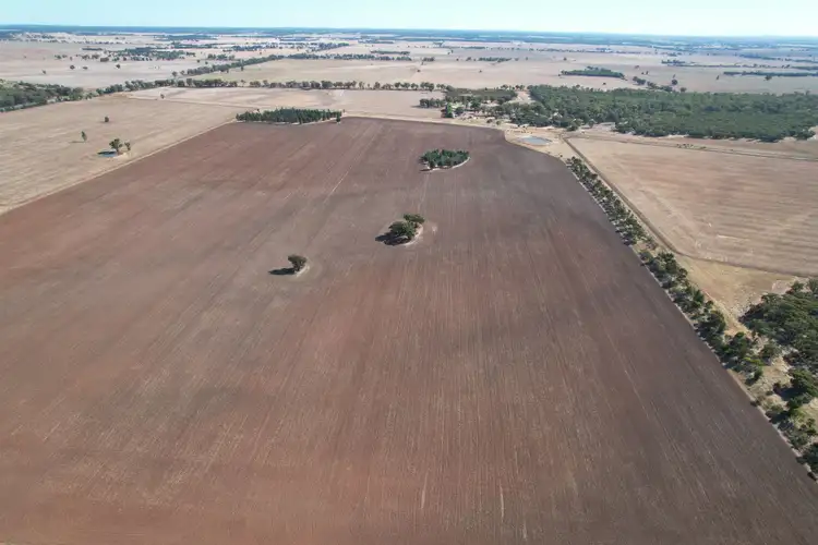 Fourth view of Homely rural property listing, 2417 Alleena Road, West Wyalong NSW 2671