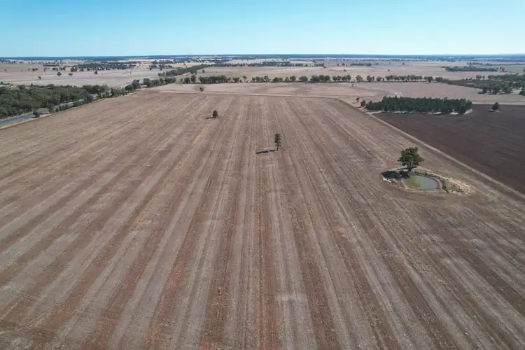 Sixth view of Homely rural property listing, 2417 Alleena Road, West Wyalong NSW 2671