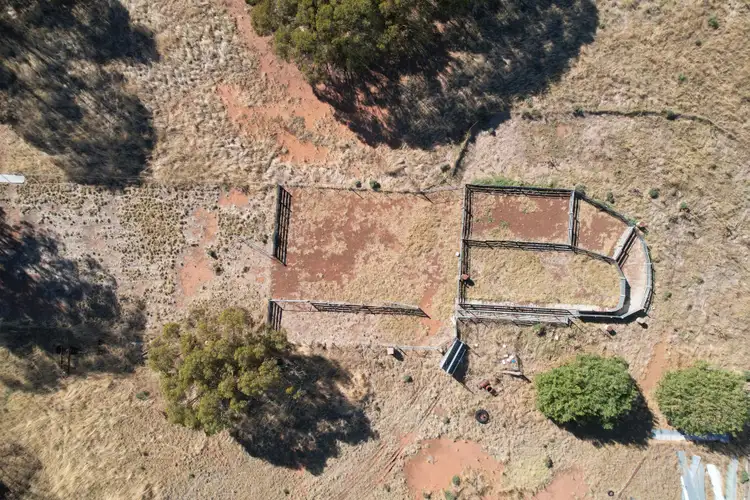 Seventh view of Homely rural property listing, 2417 Alleena Road, West Wyalong NSW 2671