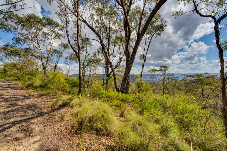 Main view of Homely land listing, 47-53 Ada Road, Blackheath NSW 2785