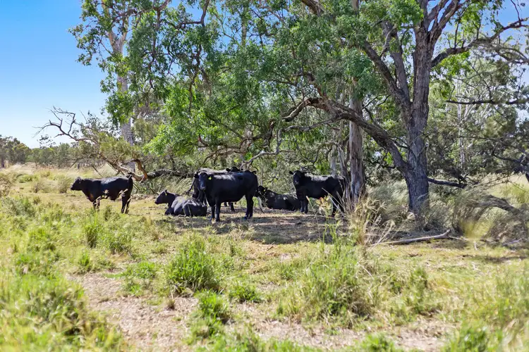 Third view of Homely rural property listing, 19 Wickham Road, Karara QLD 4352