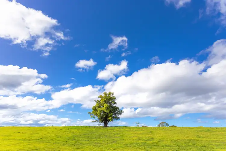 Seventh view of Homely rural property listing, 191-193 Tarrumbi Way, Kolodong NSW 2430