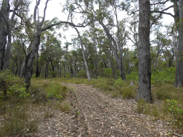 Main view of Homely rural property listing, Lot 350 Muir Highway, Rocky Gully WA 6397