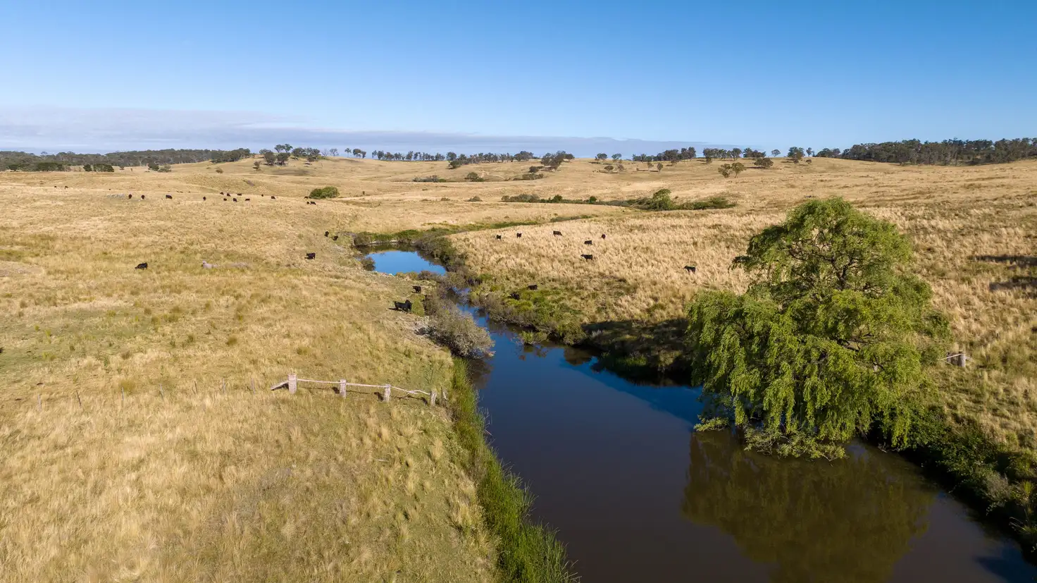 Main view of Homely rural property listing, 1253 Enmore Road, Mihi NSW 2358