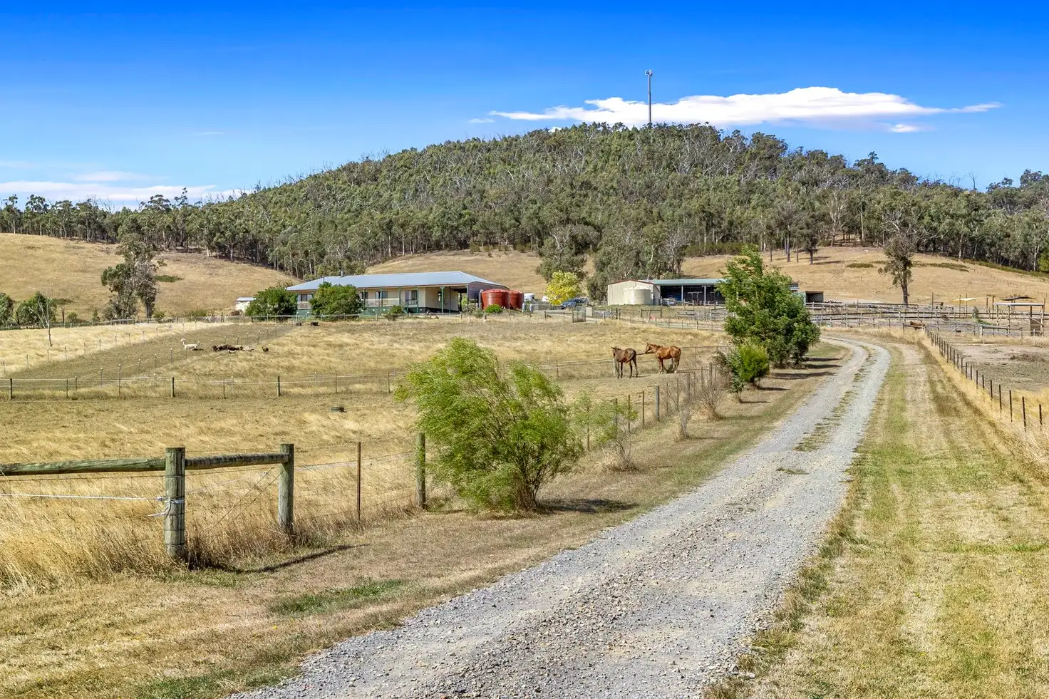 Main view of Homely house listing, 3684 Melba Highway, Glenburn VIC 3717