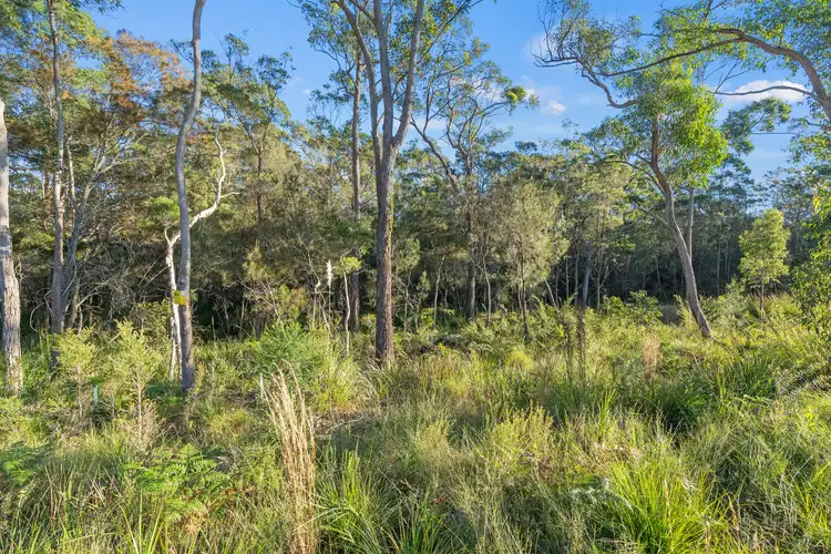 Sixth view of Homely land listing, 10 (Lot 5) Patonga Street, Morisset NSW 2264