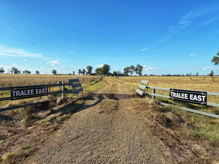 'Tralee East' Blackstock Hill Road, Peak Hill NSW 2869
