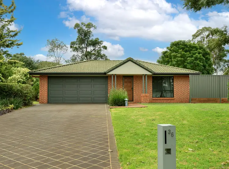 36 Palmer Drive