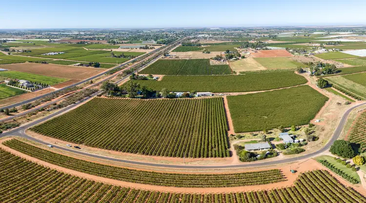 Second view of Homely rural property listing, Lot 2 Pawson Avenue, Red Cliffs VIC 3496