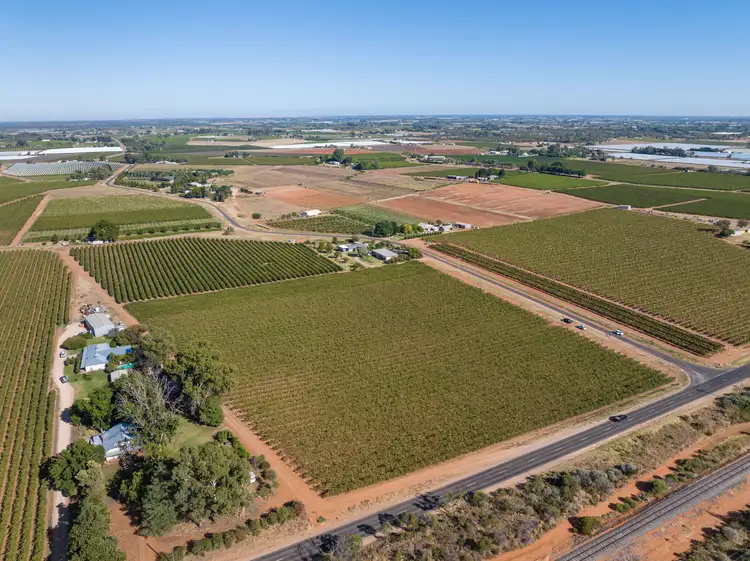 Fourth view of Homely rural property listing, Lot 2 Pawson Avenue, Red Cliffs VIC 3496