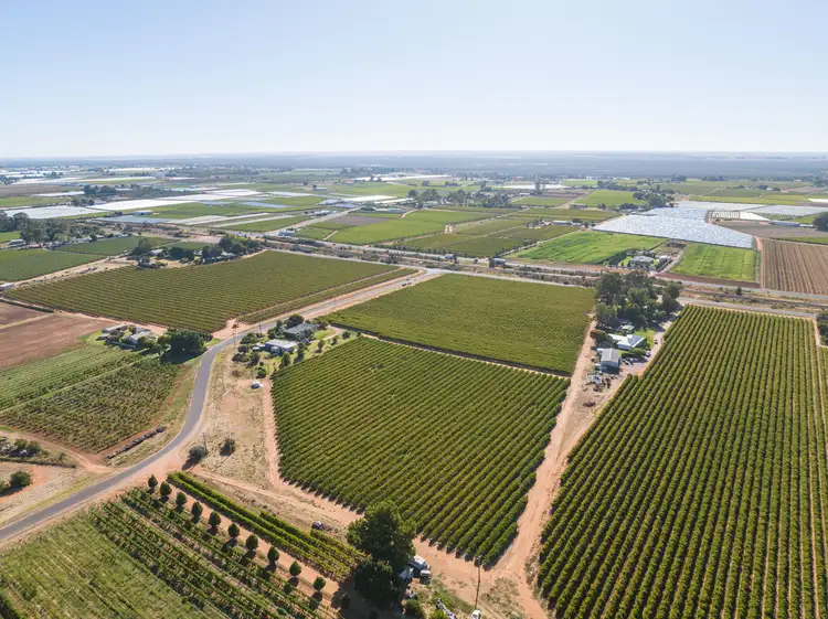 Fifth view of Homely rural property listing, Lot 2 Pawson Avenue, Red Cliffs VIC 3496