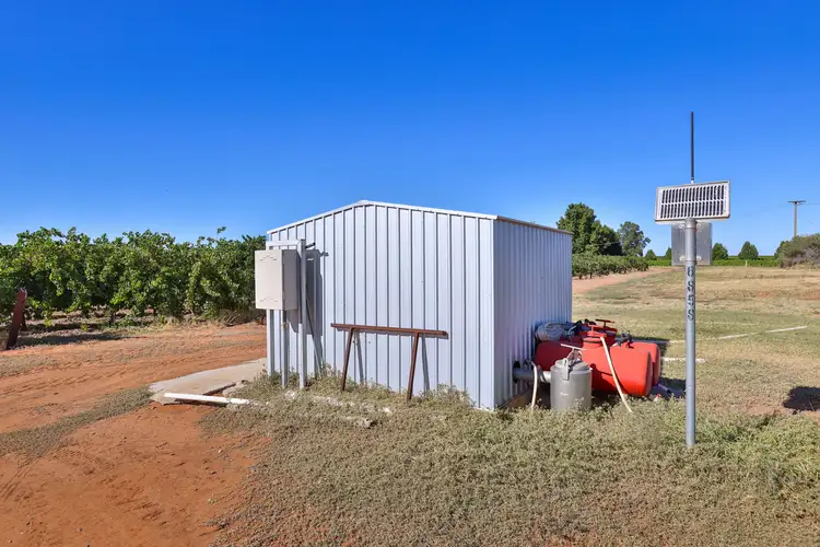 Seventh view of Homely rural property listing, Lot 2 Pawson Avenue, Red Cliffs VIC 3496