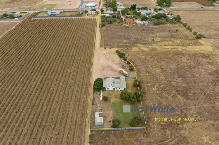 Main view of Homely house listing, 709 Walnut Avenue, Mildura VIC 3500