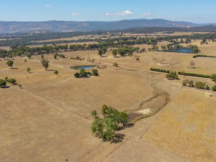 Fifth view of Homely rural property listing, 30 Ryan Court, Tallarook VIC 3659