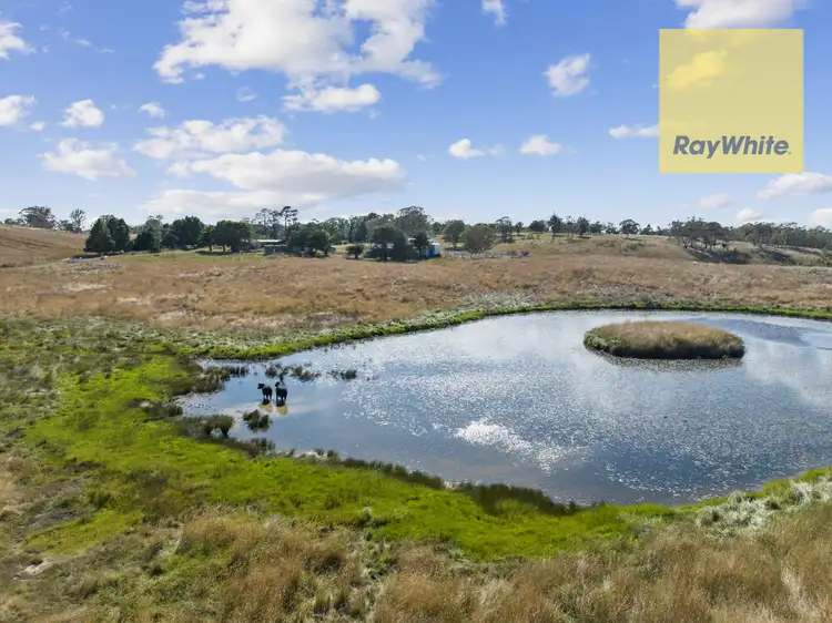 Sixth view of Homely rural property listing, 3325 Windellama Road, Goulburn NSW 2580