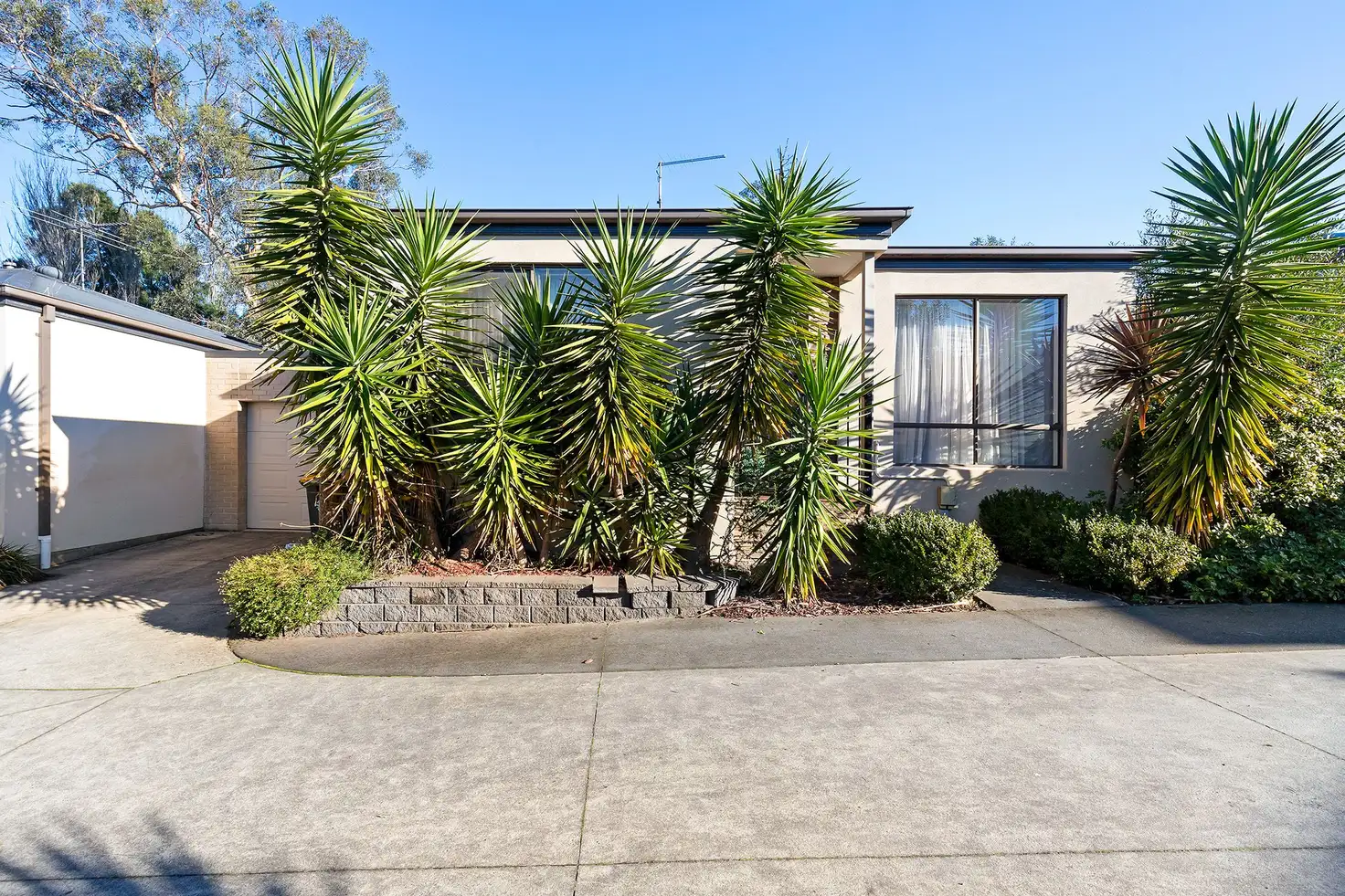 Main view of Homely unit listing, 6/145 Union Road, Langwarrin VIC 3910