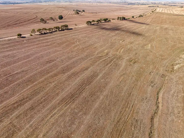 Sixth view of Homely rural property listing, 'Coulters' Sandow Road, Hamley Bridge SA 5401