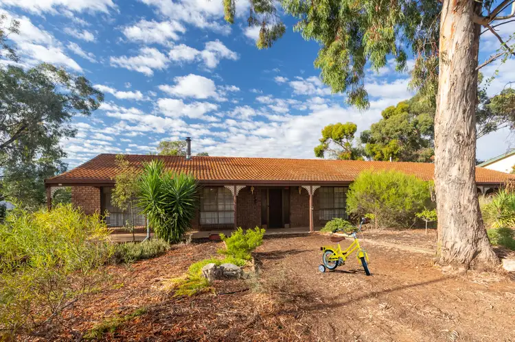Main view of Homely house listing, 12 Westbrook Avenue, Loxton SA 5333