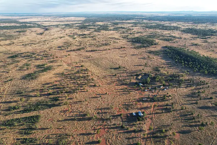 Main view of Homely rural property listing, 'Wirrilah' 9835 Henry Parkes Way, Condobolin NSW 2877