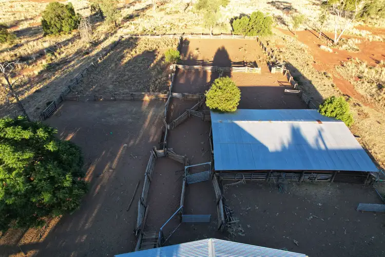 Fifth view of Homely rural property listing, 'Wirrilah' 9835 Henry Parkes Way, Condobolin NSW 2877