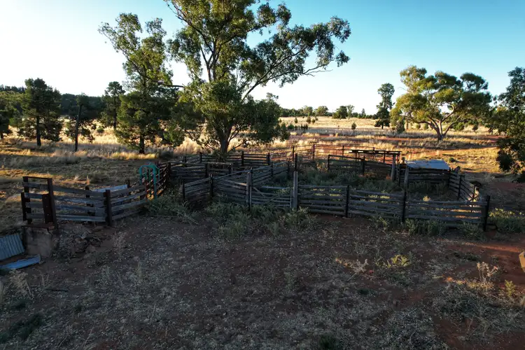 Seventh view of Homely rural property listing, 'Wirrilah' 9835 Henry Parkes Way, Condobolin NSW 2877