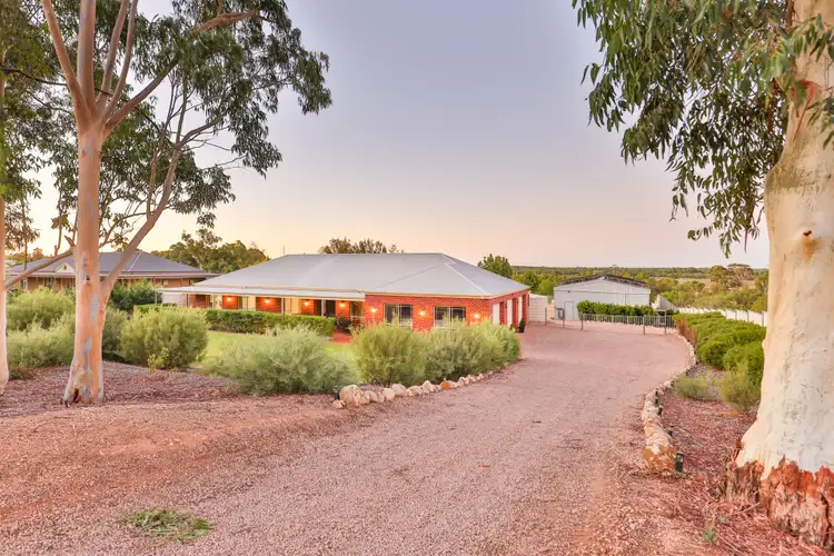 Fourth view of Homely house listing, 135 Chaffey Street, Merbein VIC 3505