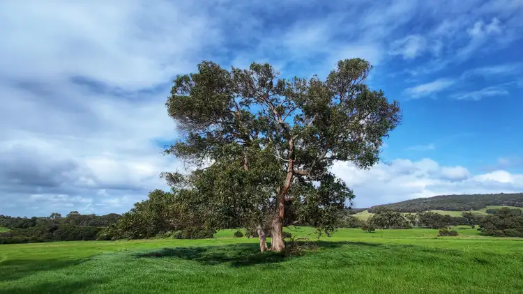 Second view of Homely rural property listing, Lot 201 Mount Richard Road, Nanarup WA 6330