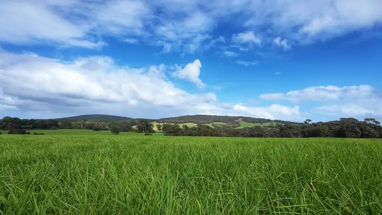 Third view of Homely rural property listing, Lot 201 Mount Richard Road, Nanarup WA 6330