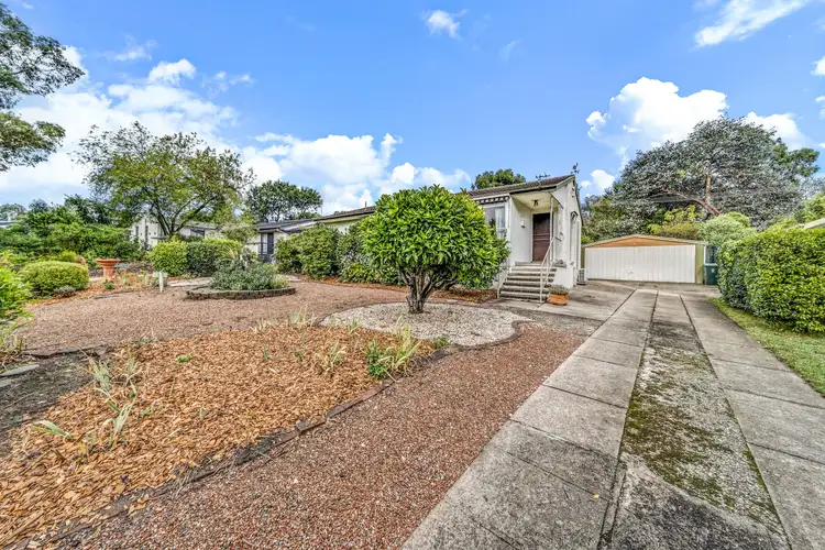Main view of Homely house listing, 31 Grylls Crescent, Cook ACT 2614