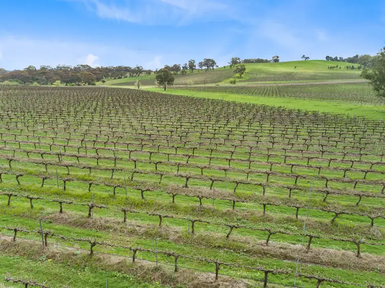 Fourth view of Homely land listing, Lot 20 Quarry Road, Clare SA 5453