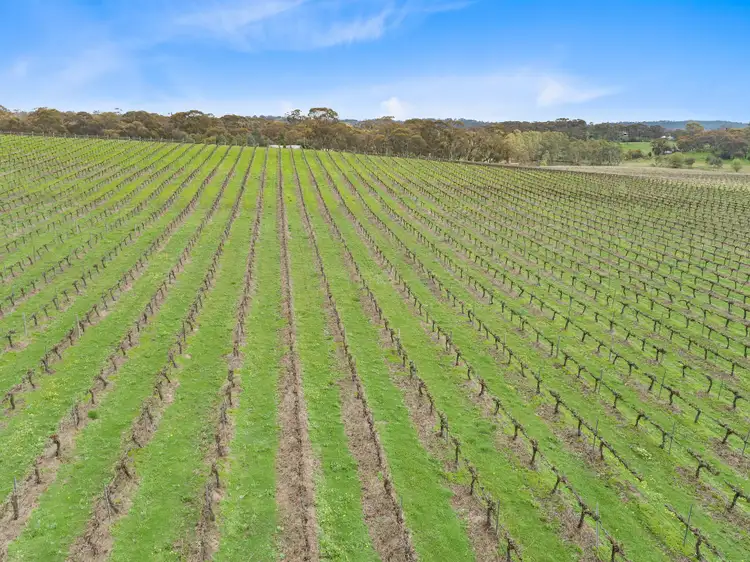 Sixth view of Homely land listing, Lot 20 Quarry Road, Clare SA 5453