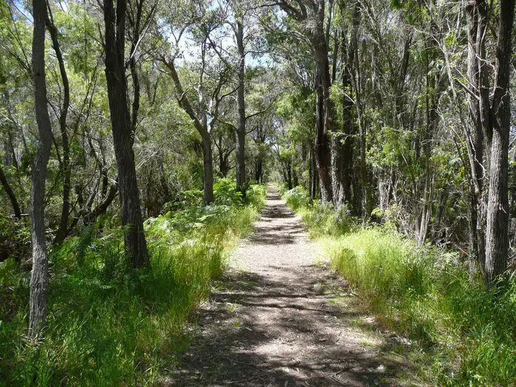 Fourth view of Homely land listing, LOT 188 Woodward Heights, Denmark WA 6333