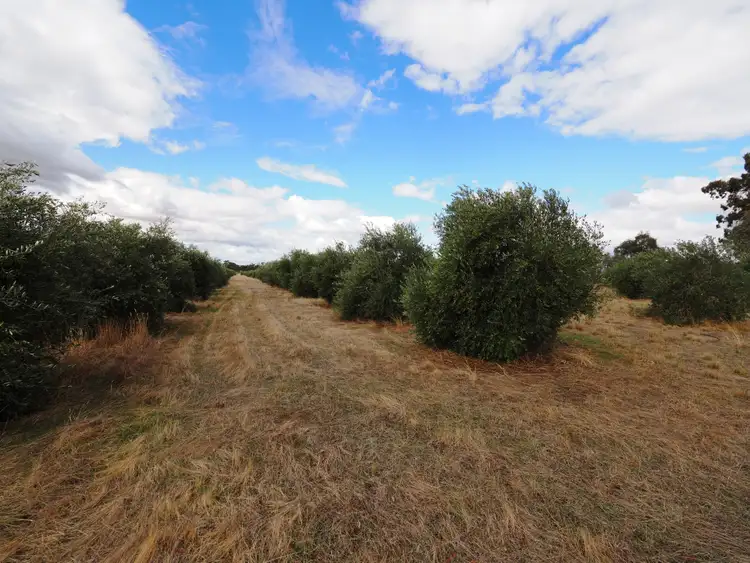 Second view of Homely land listing, Address available on request