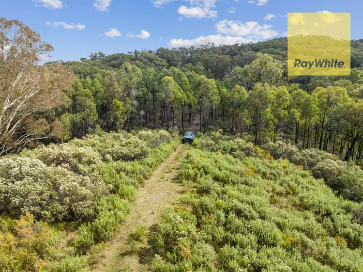 Second view of Homely rural property listing, 1013 Bigga Road, Crookwell NSW 2583